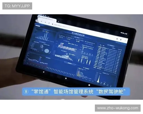 场馆智能导引系统在本周期内为周边商业配套带来了巨量客流